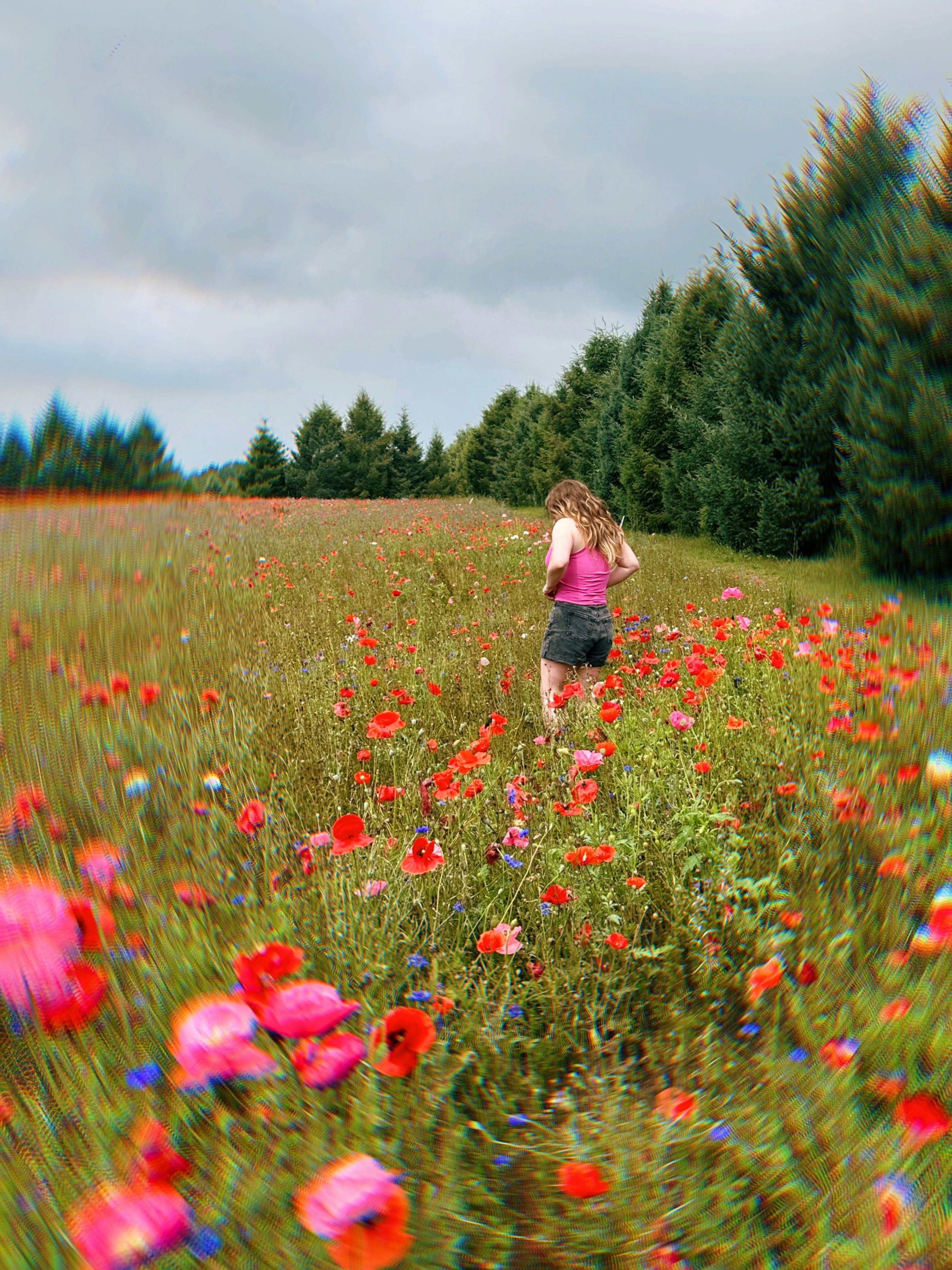 Go to Hannah Whitted's profile