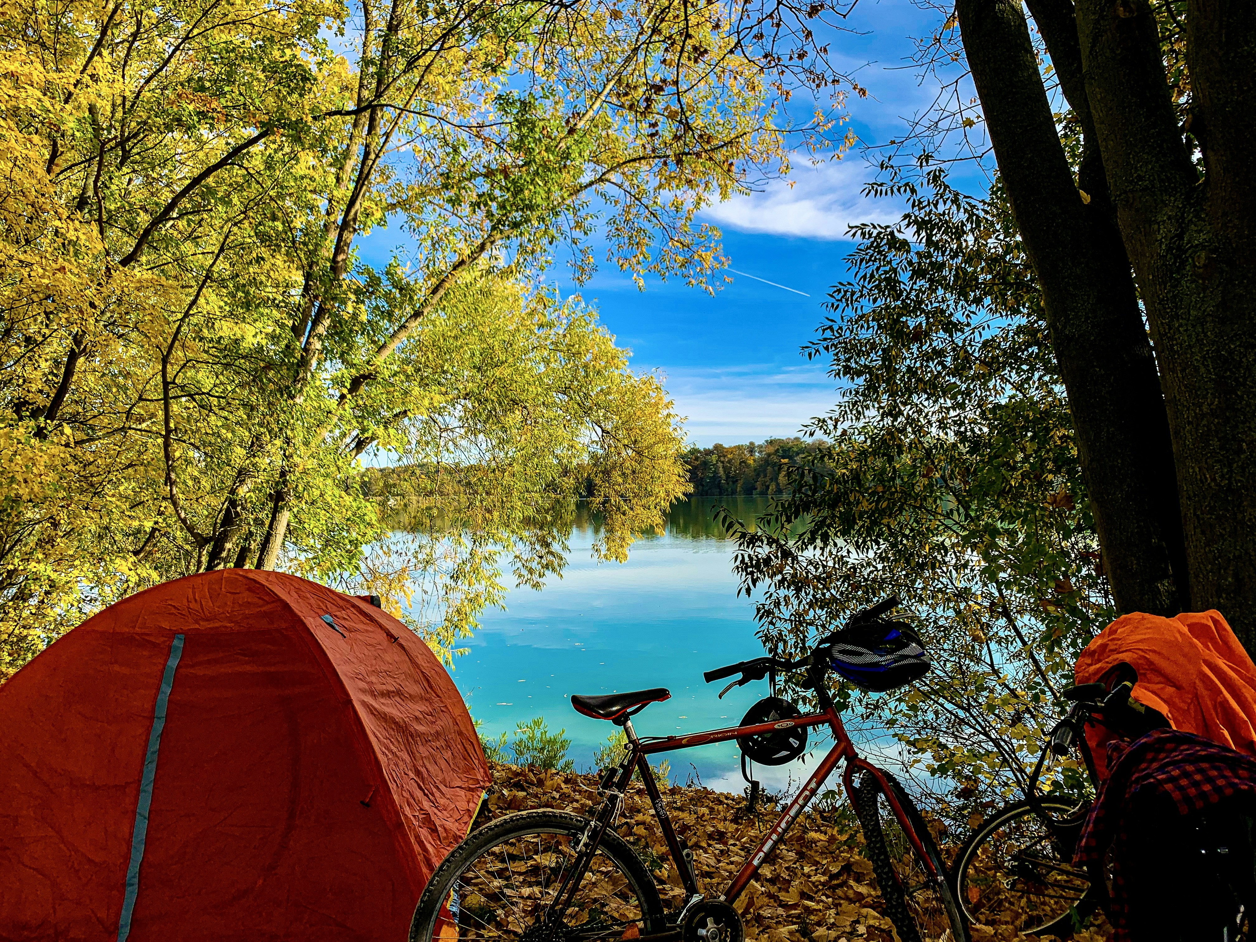 Go to David Ngo's profile