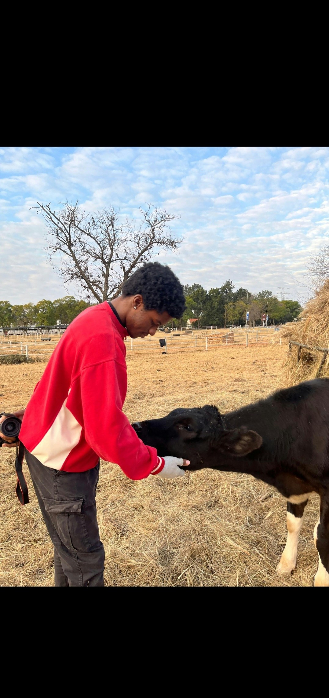 Zum Profil von Project Lucien