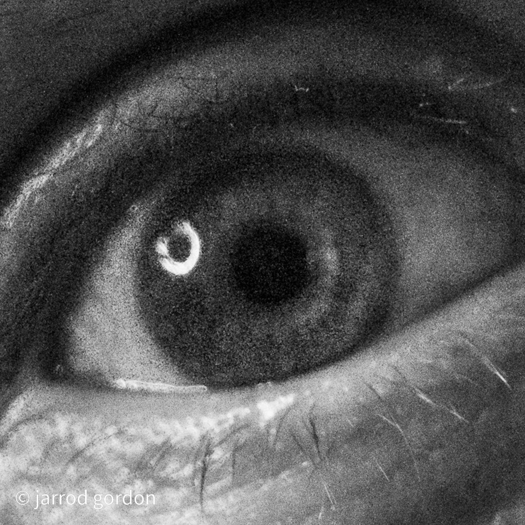 Jarrod Gordonのプロフィールを見る