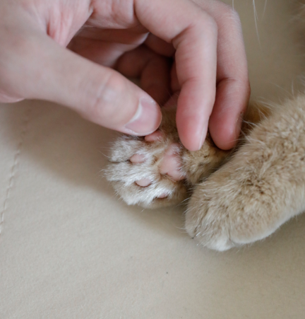 Go to miner K's profile