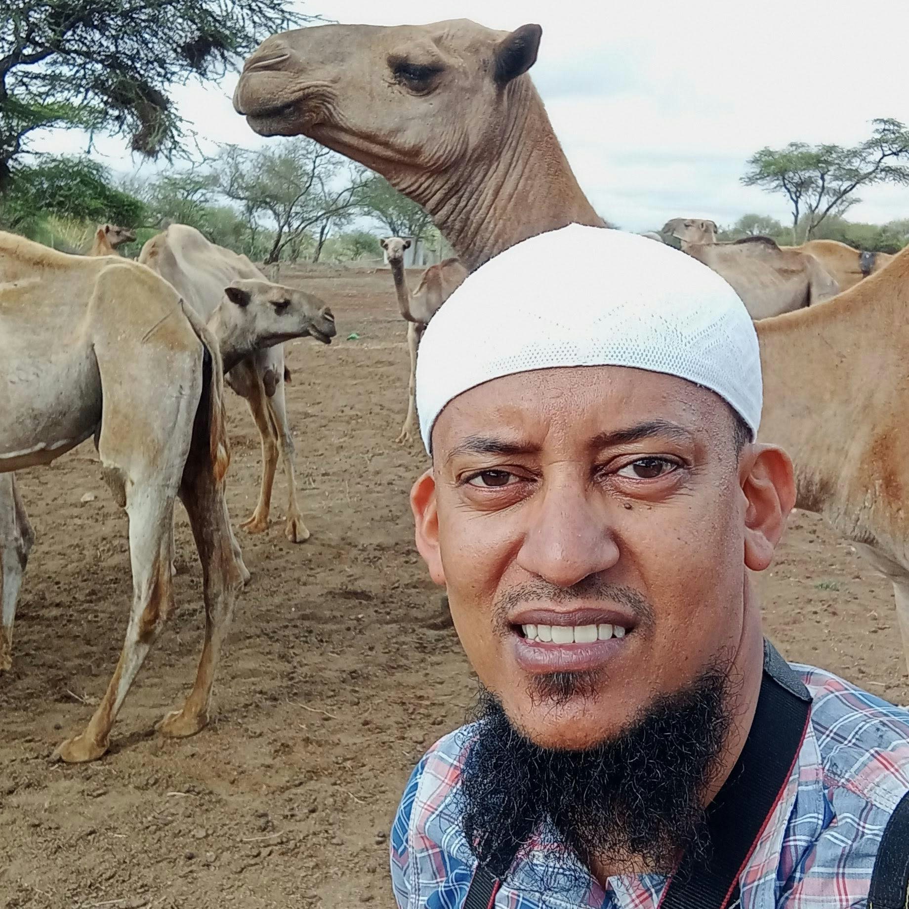 Avatar of user Murad Swaleh