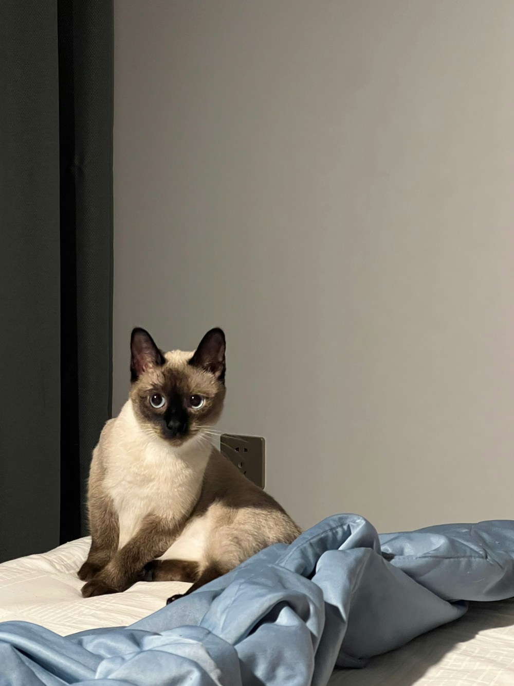 Go to Hanxiao Xu's profile