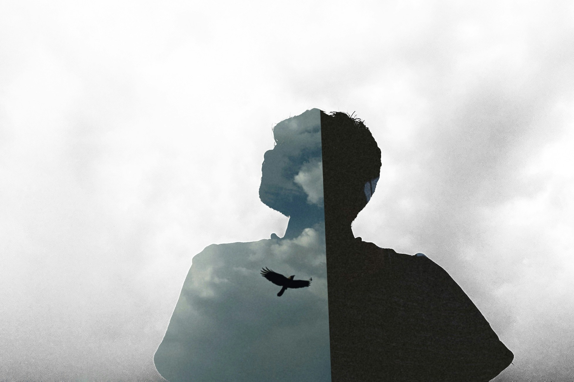 Zum Profil von Harshit Maurya