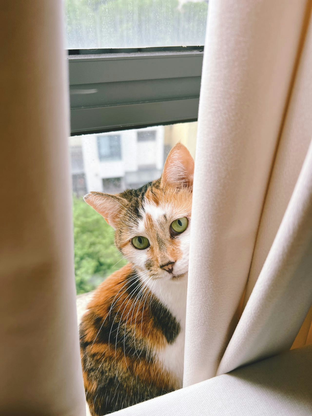 Go to huan yu's profile