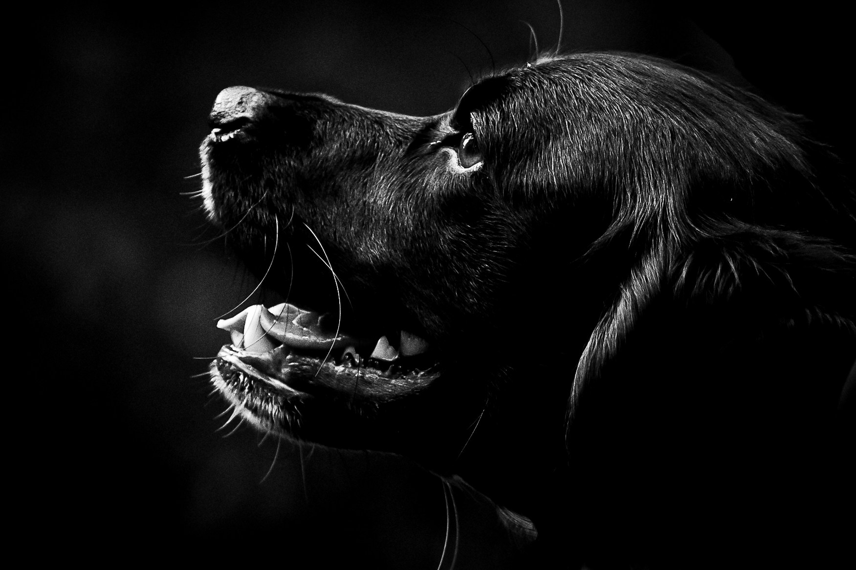 Go to Flo M.'s profile