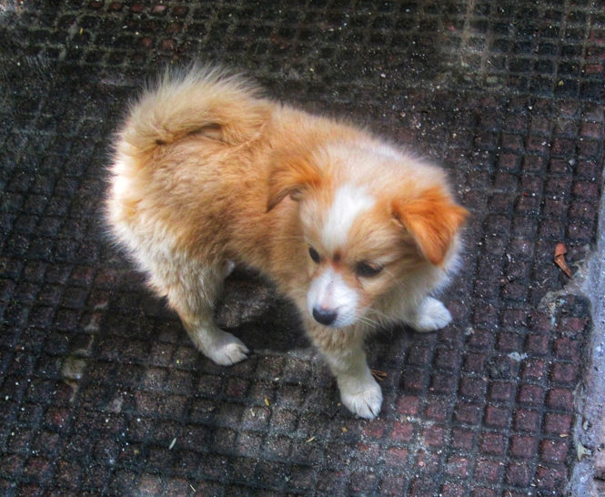 Go to Rishabh Tripathi's profile