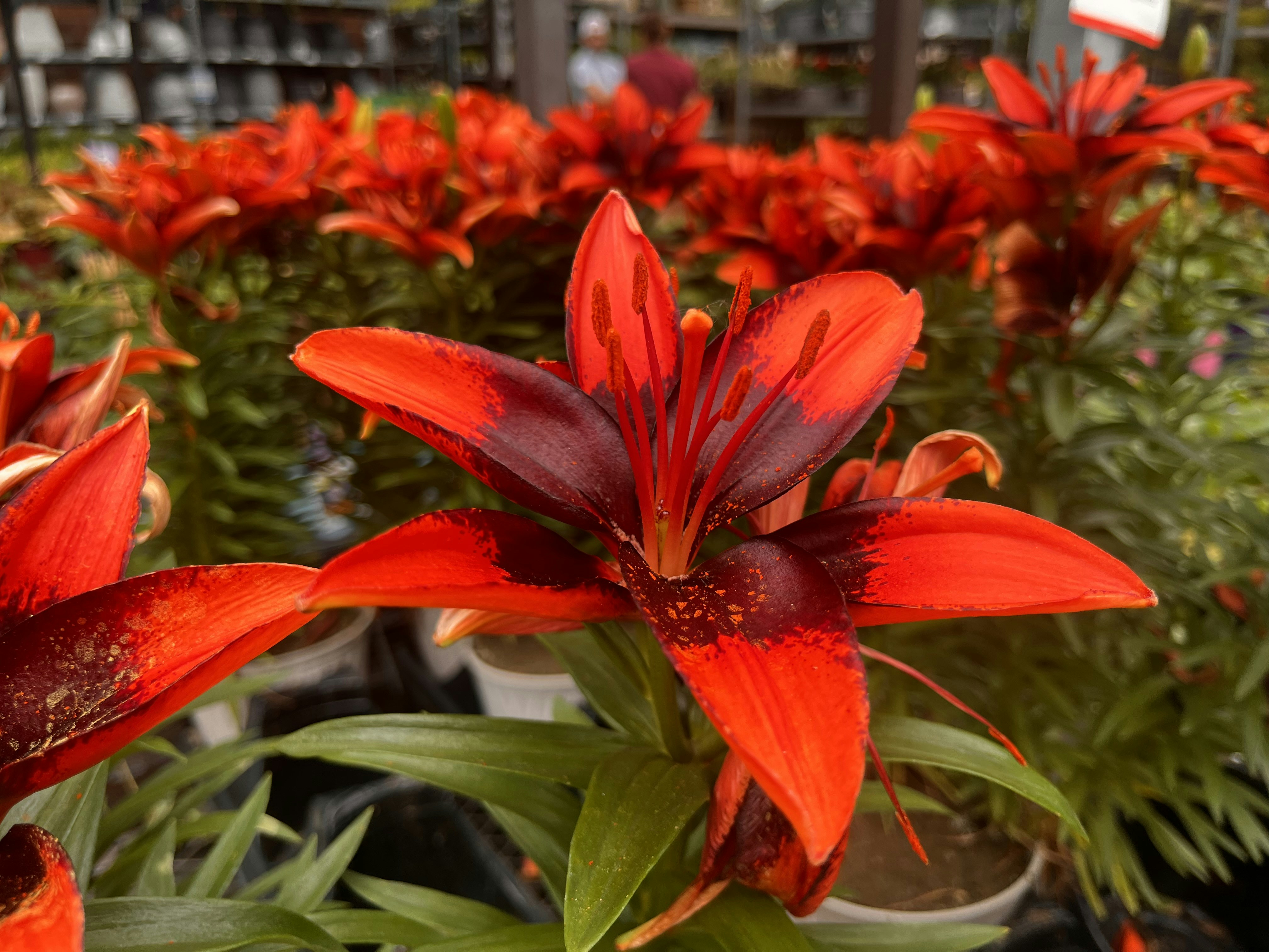 Go to Sankalp Mudaliar's profile