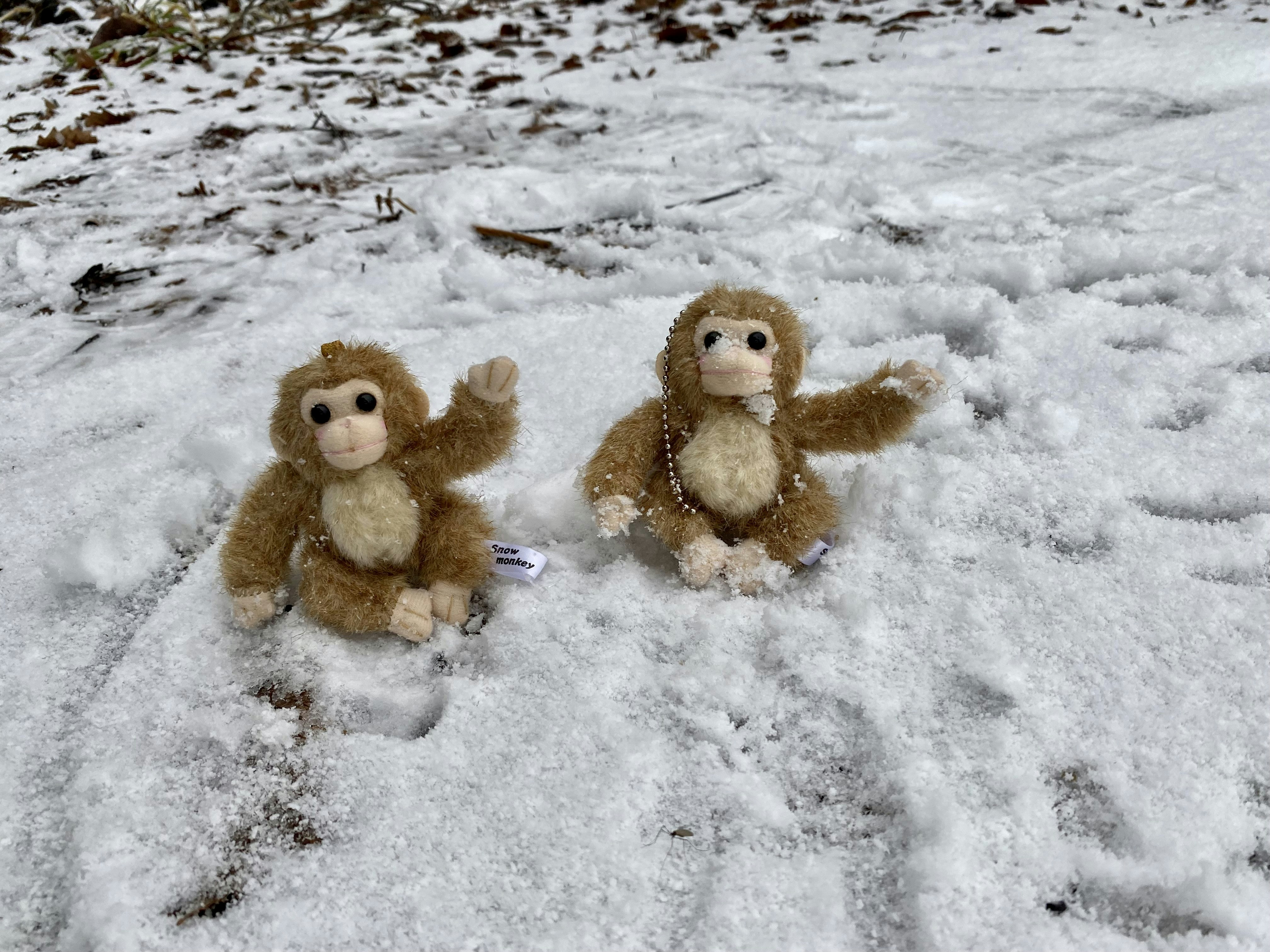 Victor Dominguez의 프로필로 이동