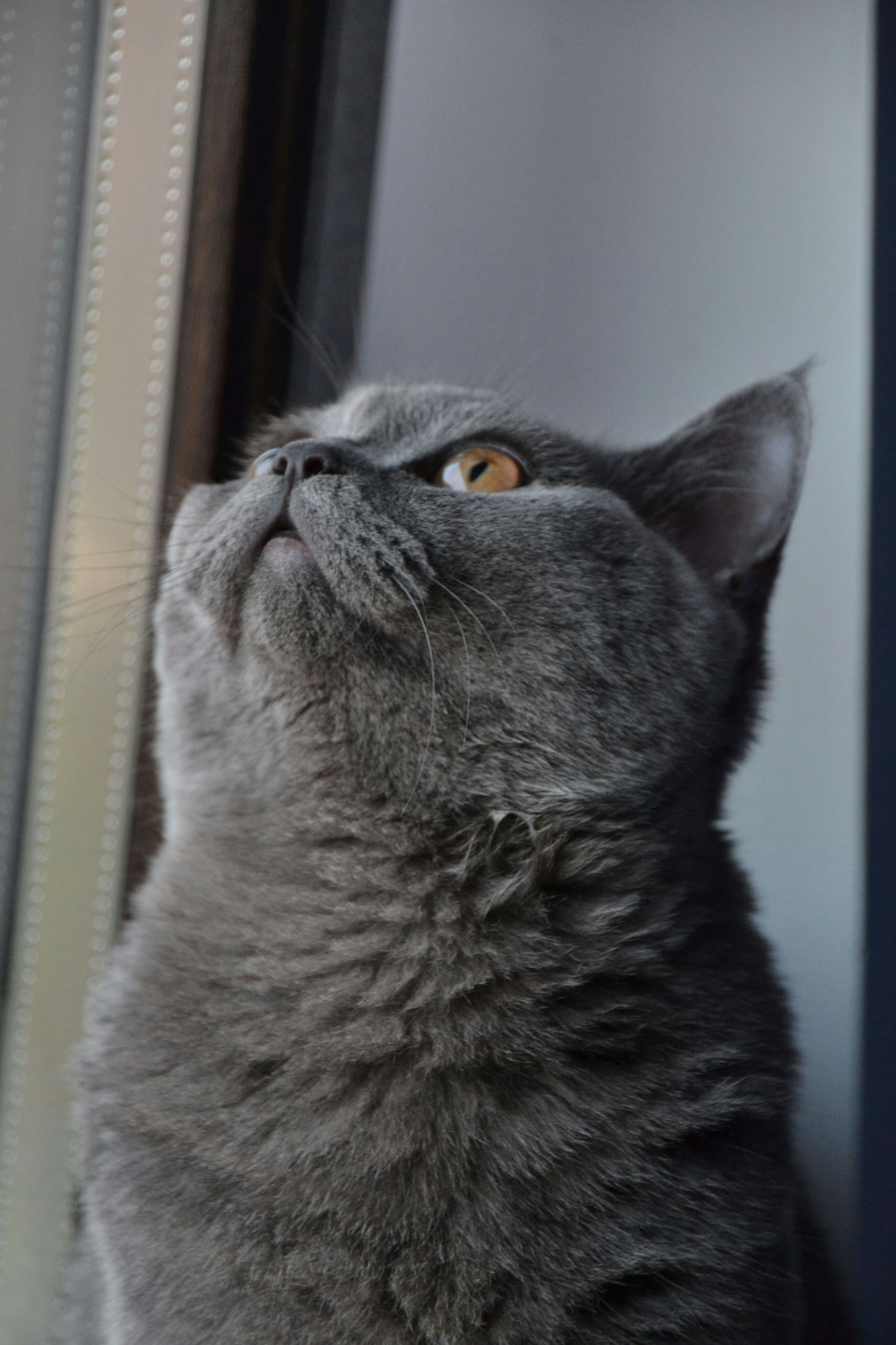 Lens Legend의 프로필로 이동