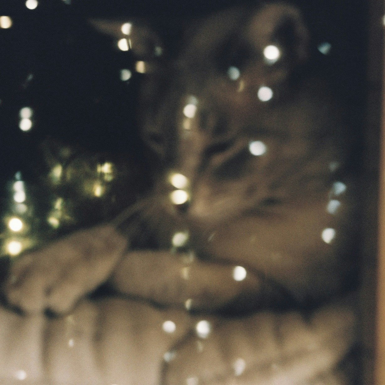 Go to Andrew R's profile