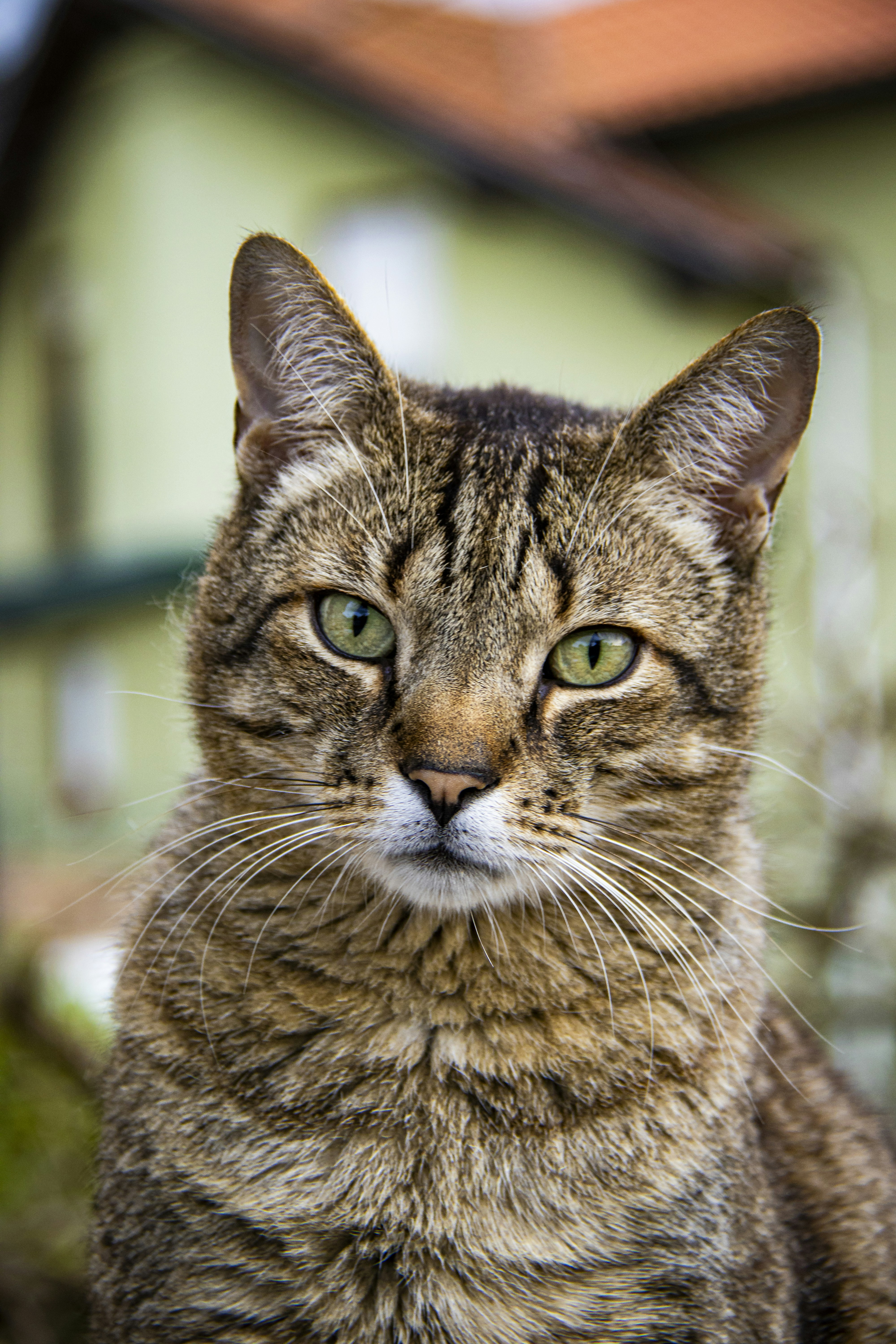 Go to Pablo Sanchez Cuesta's profile