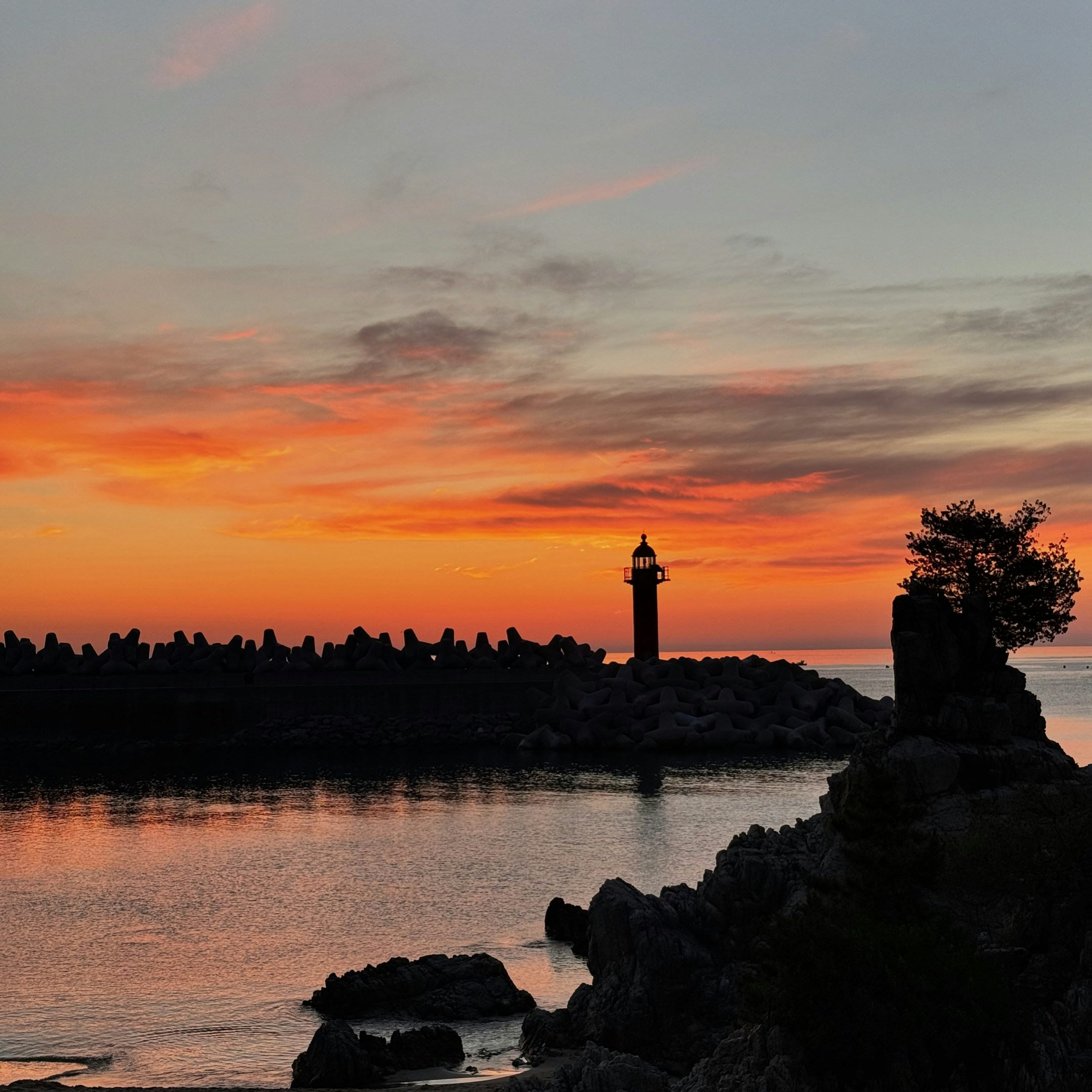 Avatar of user Jisu Han