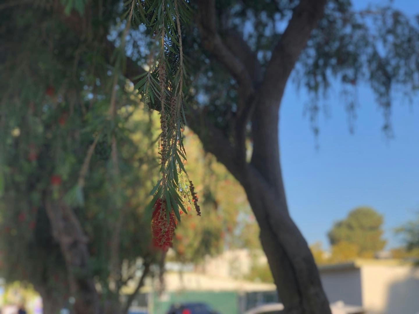 Go to HAYOUNG CHO's profile