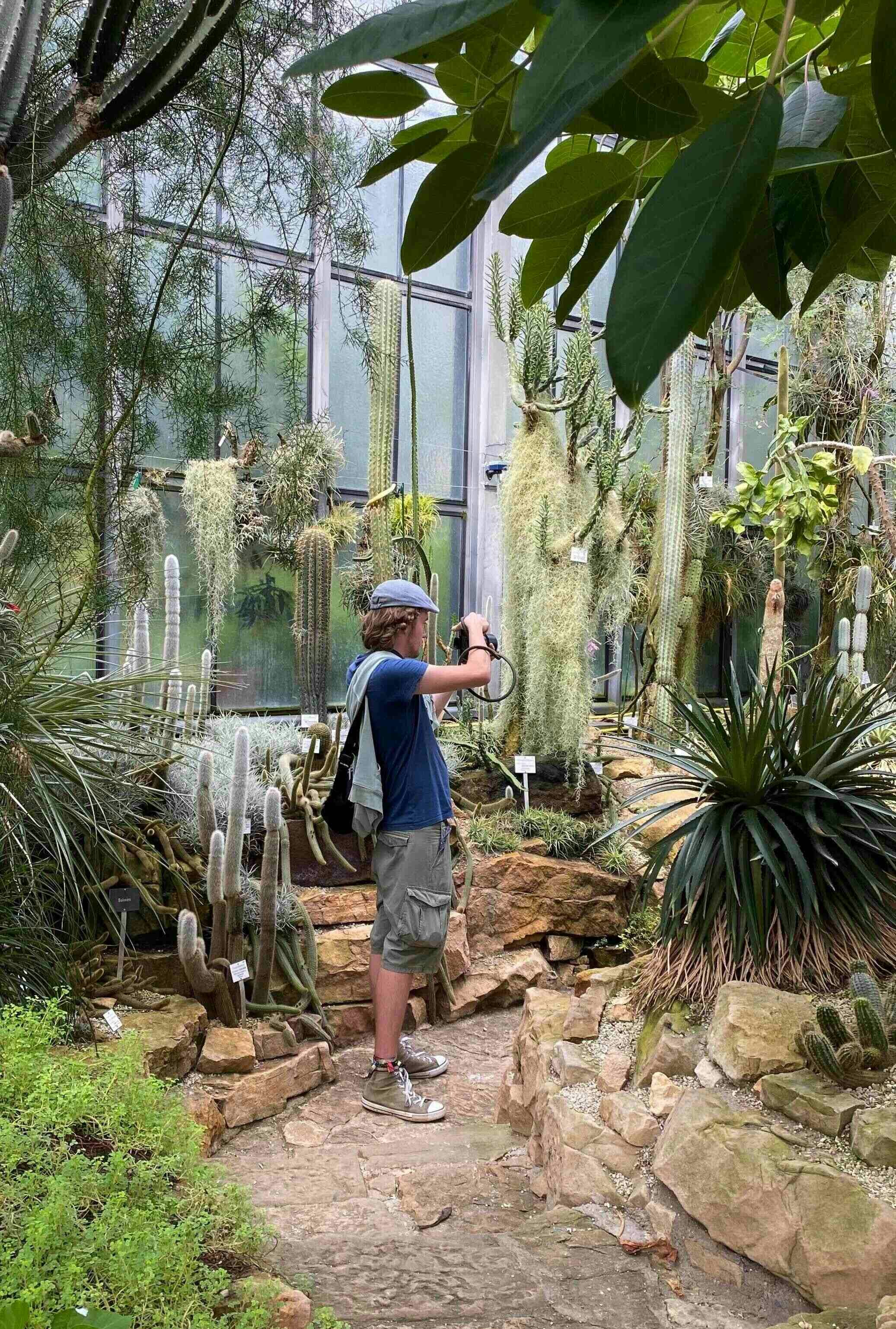 Go to Alexander Höhn's profile