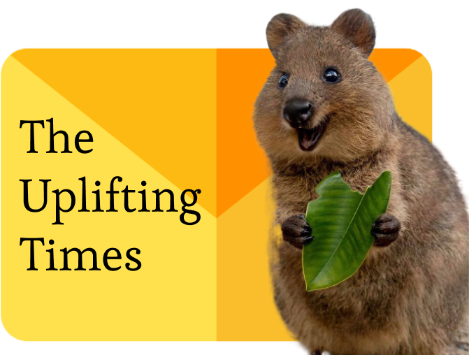 Accéder au profil de The Uplifting Times