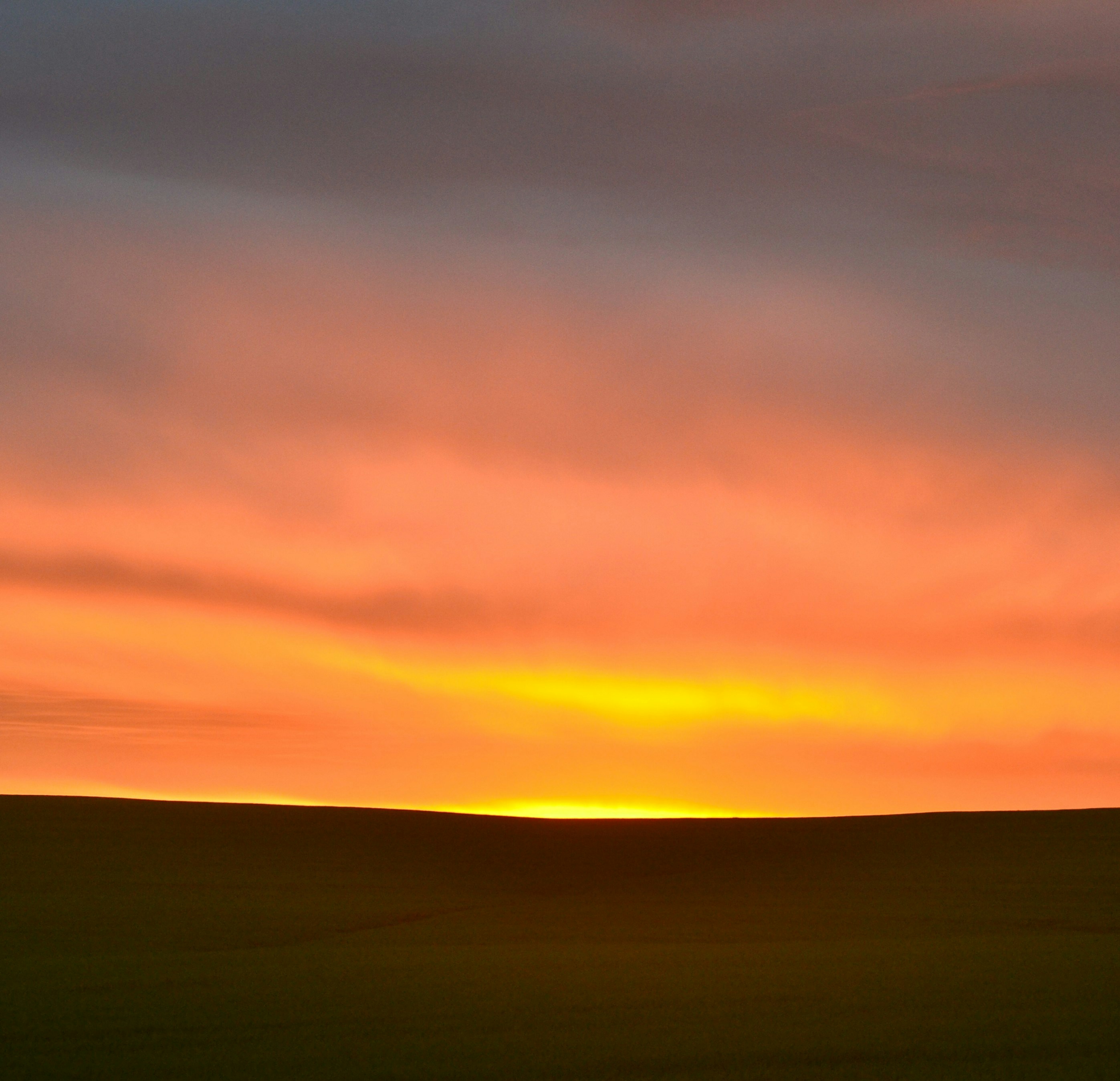 Go to Gildo de Campos Correa's profile