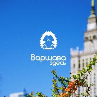 Vai al profilo di Aliaksandr Kulak