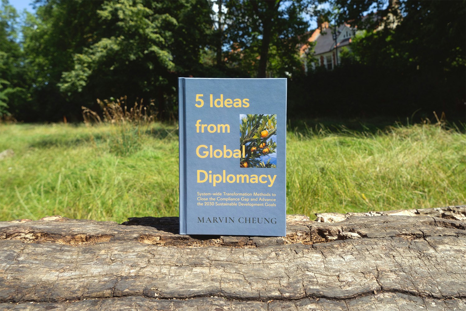 Go to Marvin Cheung's profile