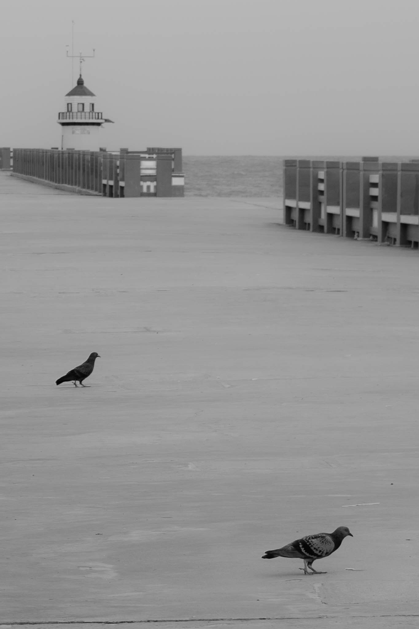 Go to Maiii Wiwekwan's profile