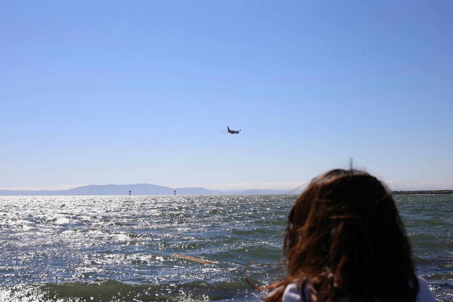 Go to Ridhi Tamirasa's profile