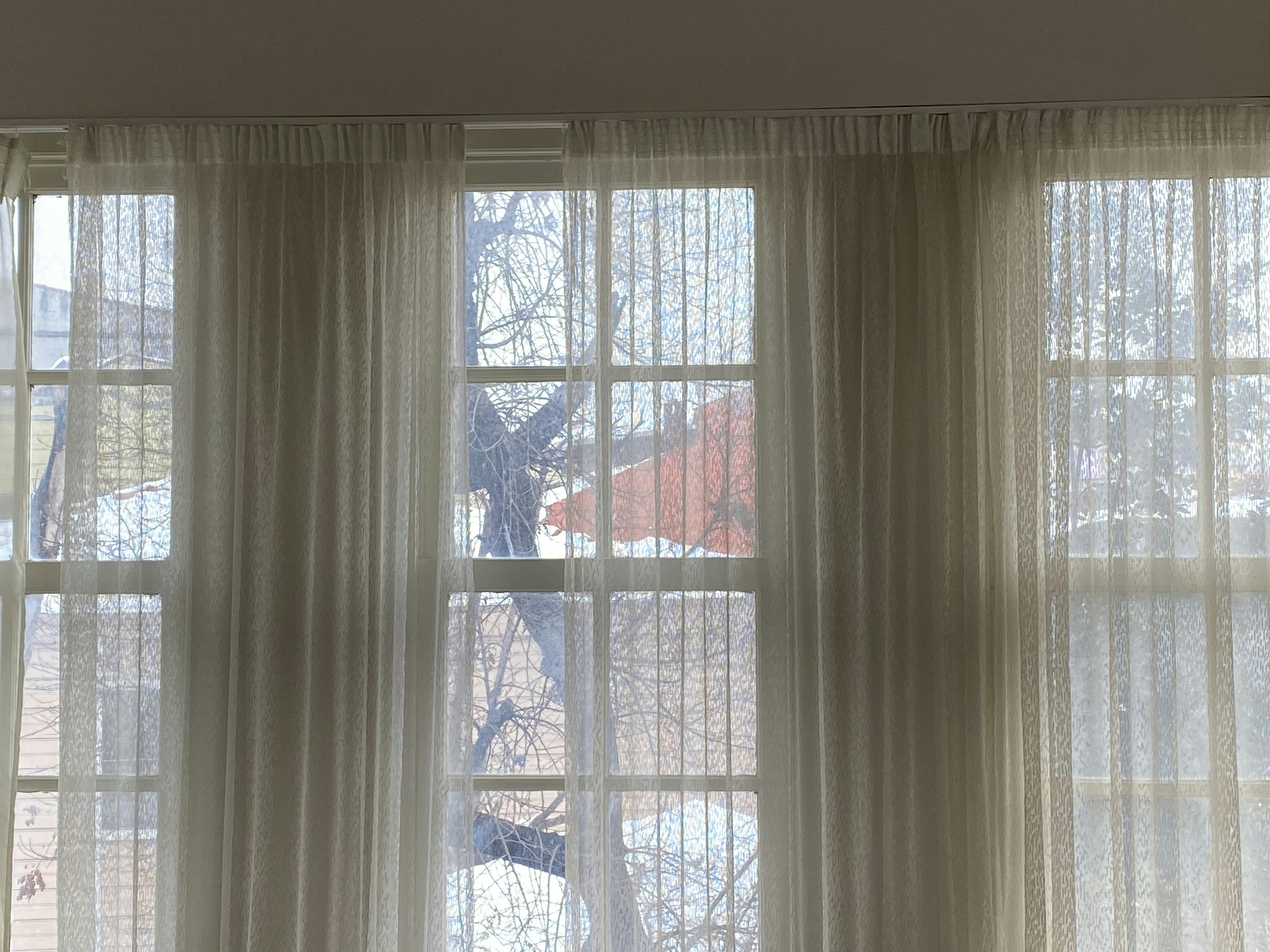 Go to İmpe Rial's profile