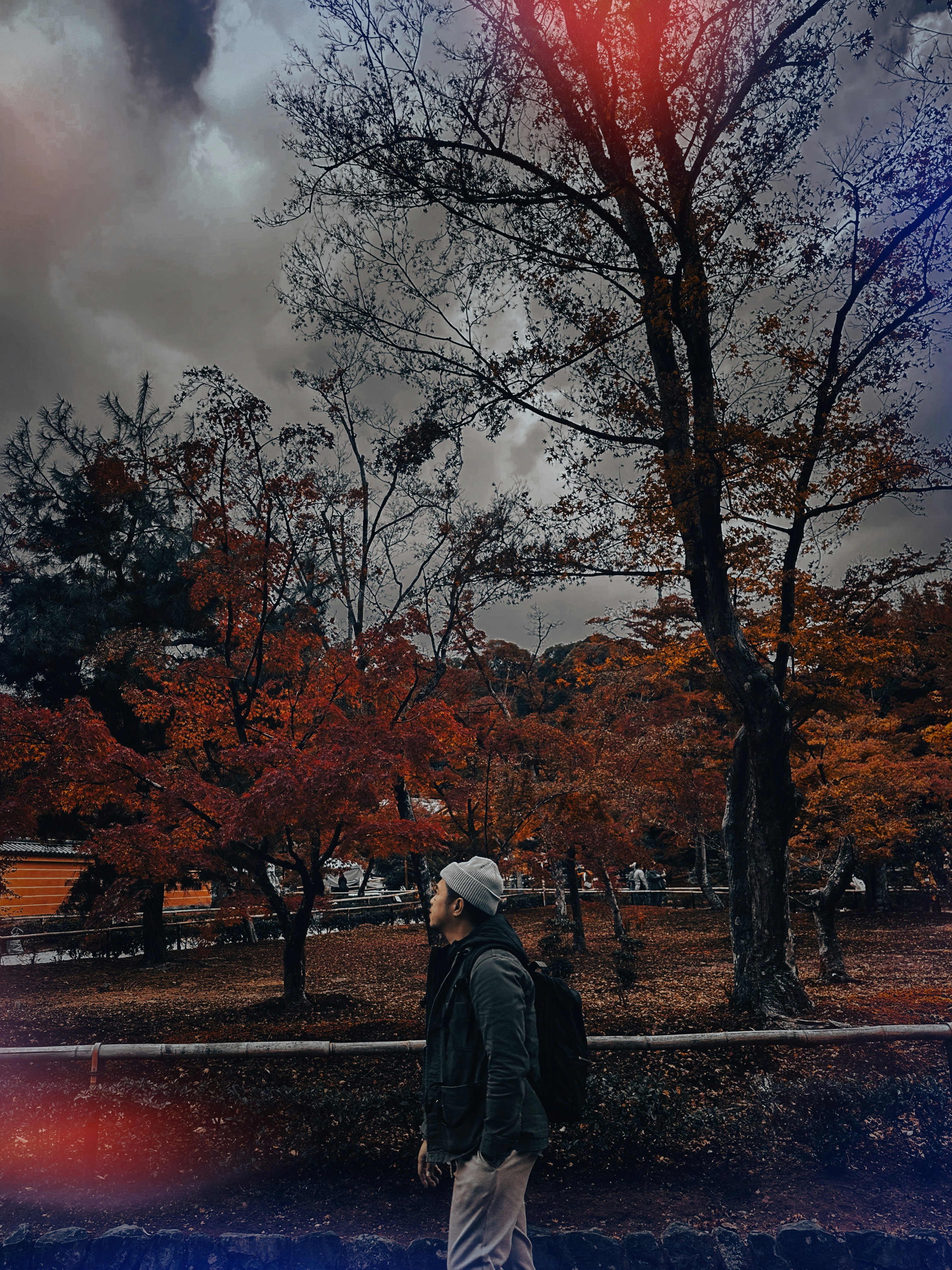 Go to Nelemson Guevarra's profile