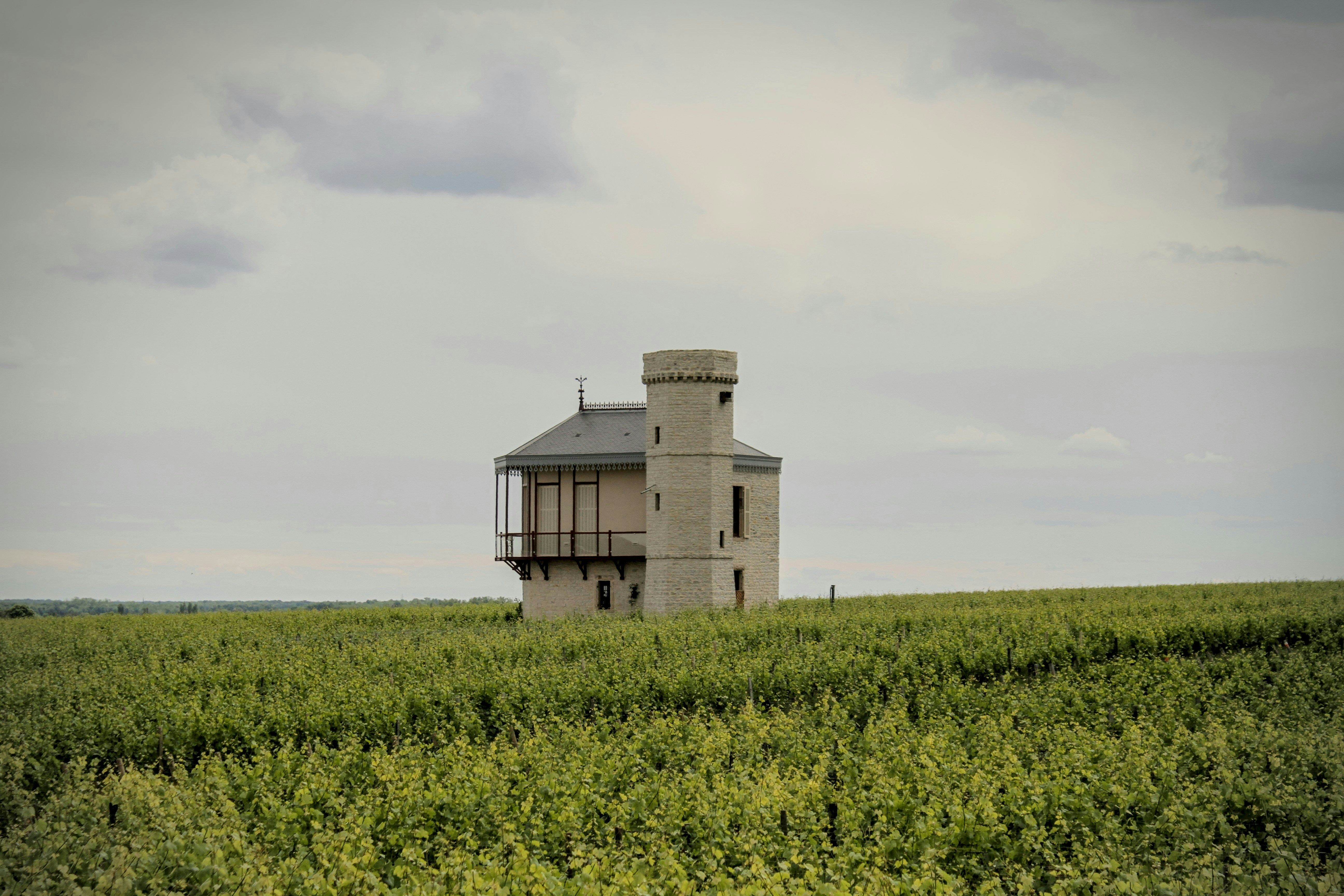 Go to Bennett Jefferson's profile