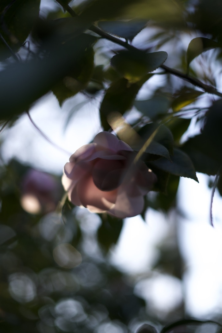 Go to Kristen Verity Amm's profile