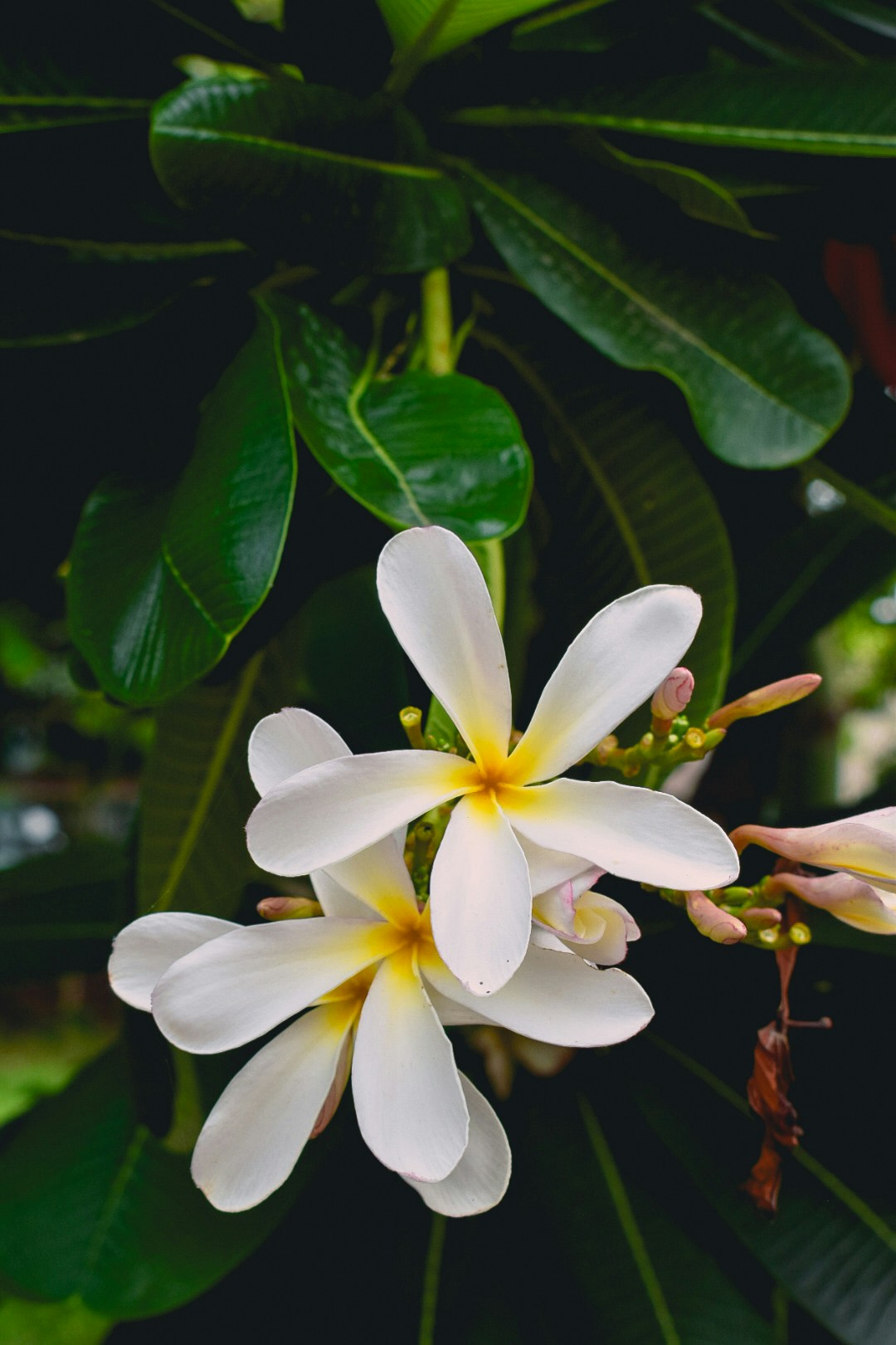 Go to aiman butt's profile