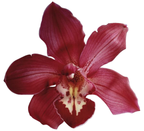 Go to acele's profile