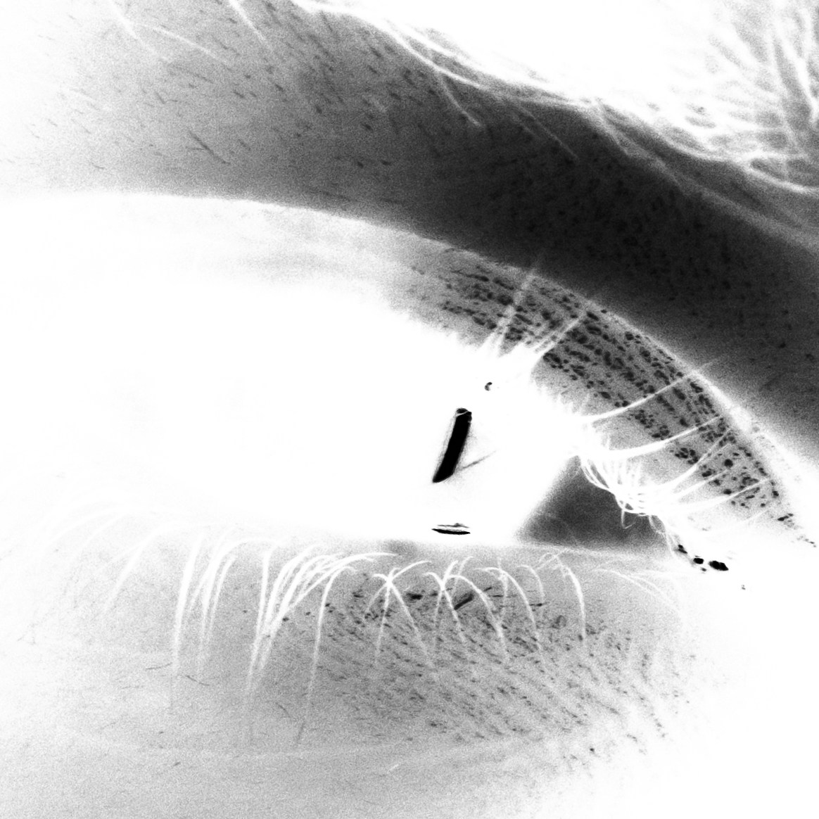 Go to Martin Siblík's profile