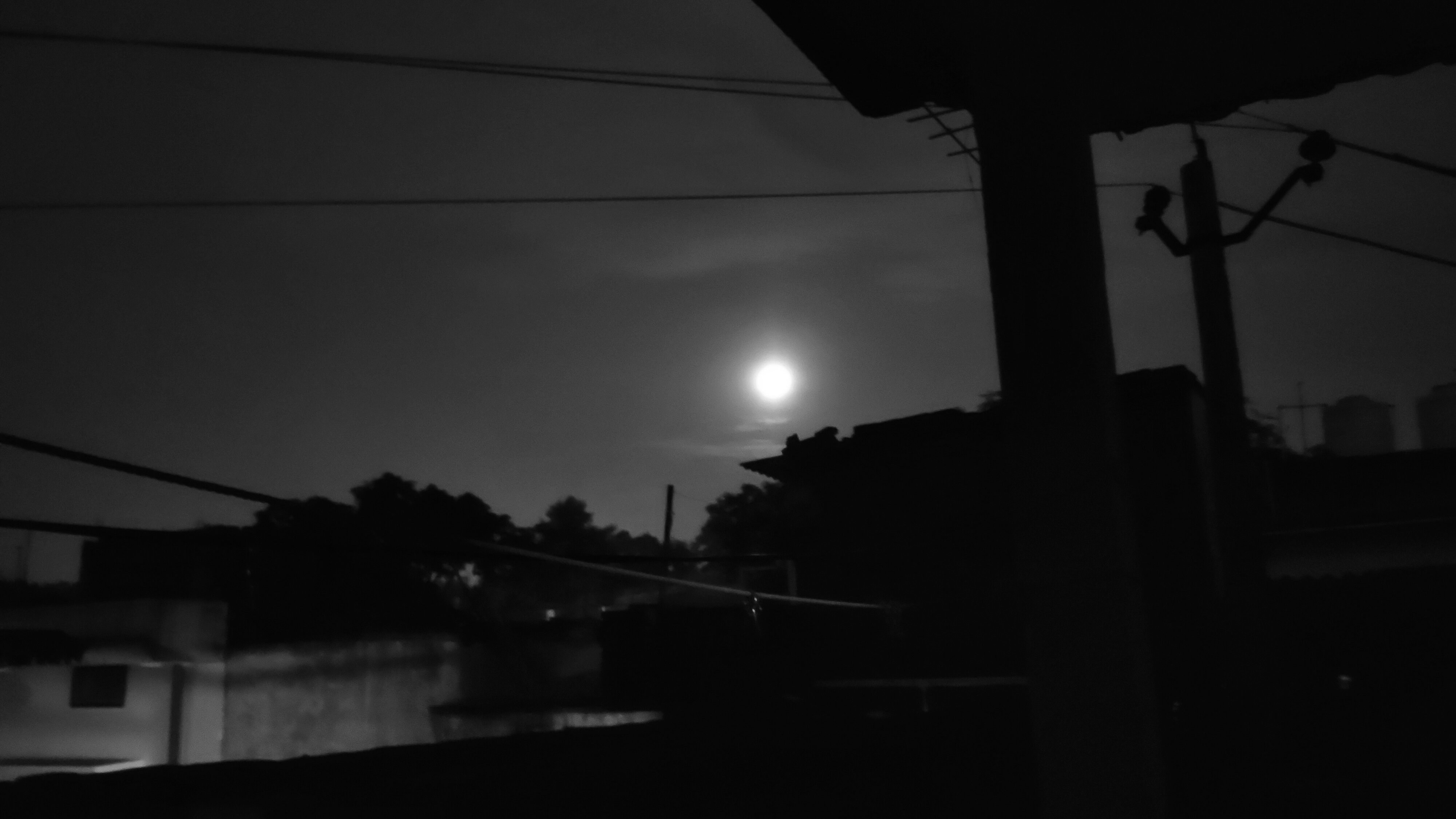 Avatar of user cozy human