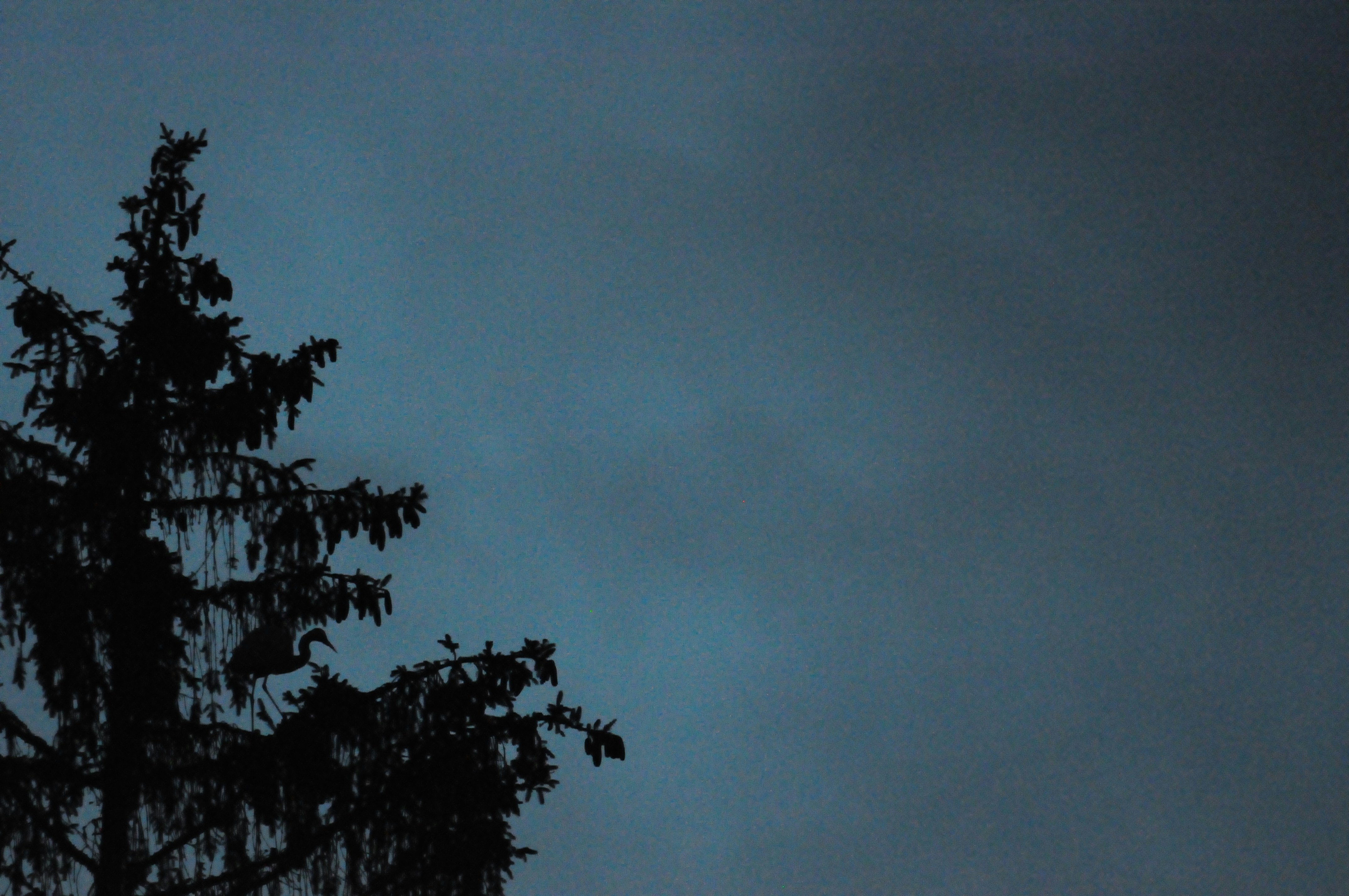 Go to Jean Dekindt's profile