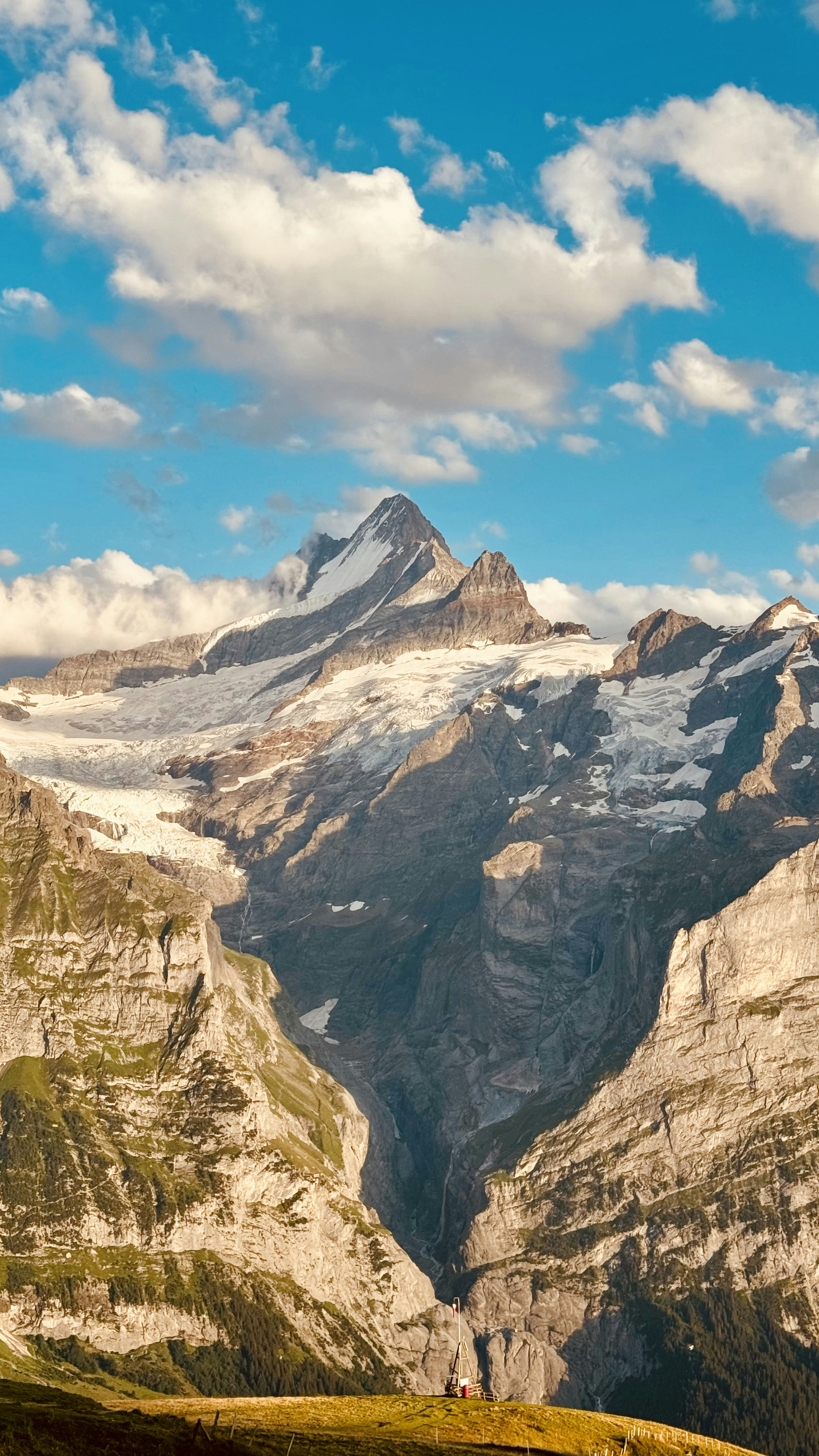 Go to Victory Shen's profile