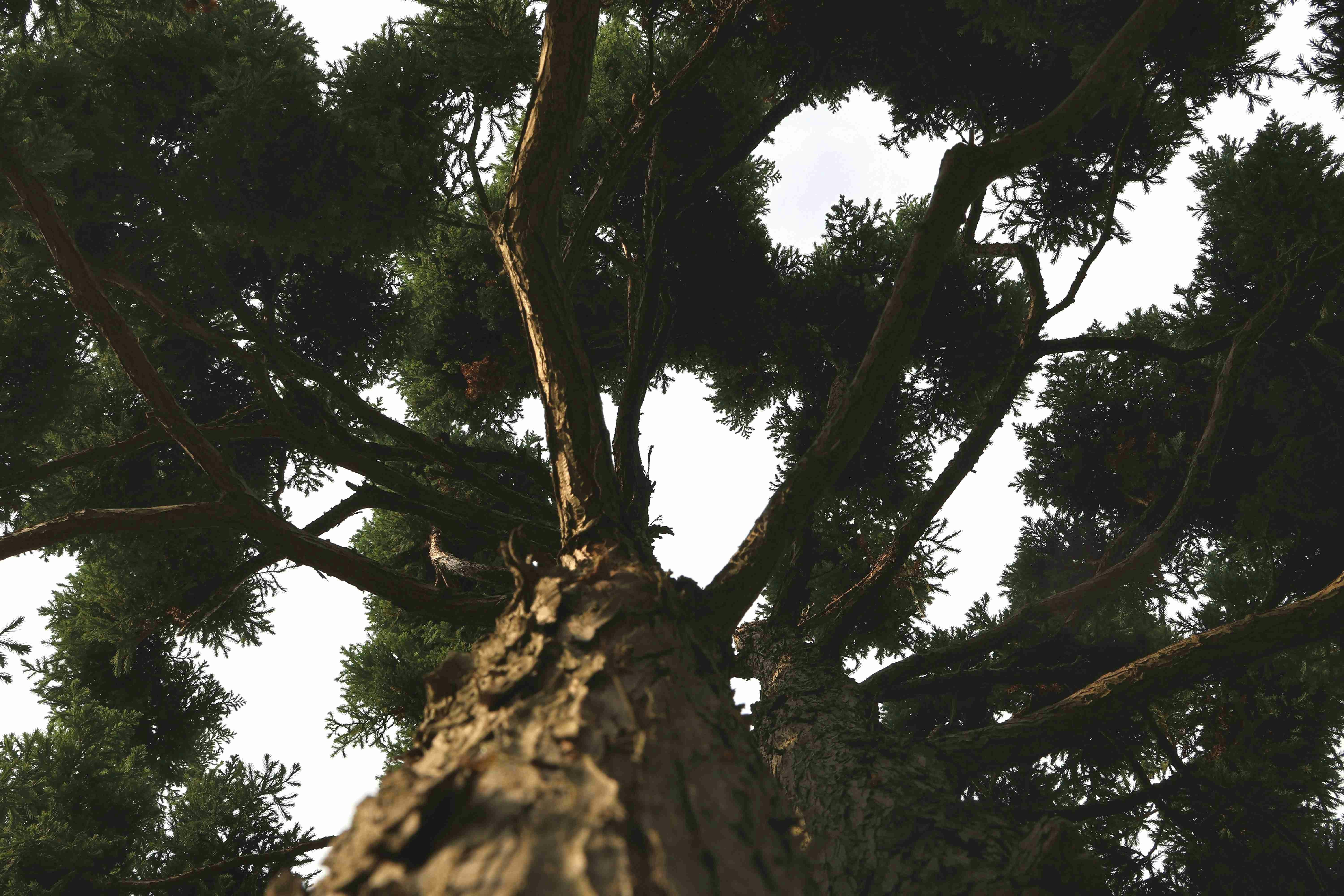 Go to Martin Lednár's profile