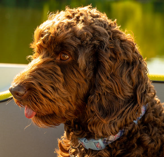 Go to Elisa Bertoja's profile