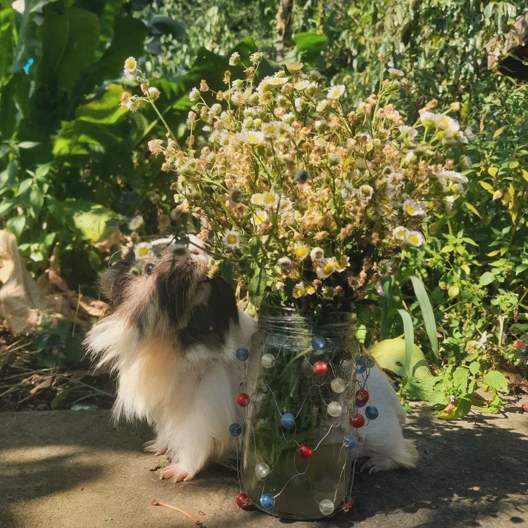 Go to Kelly Naneva's profile