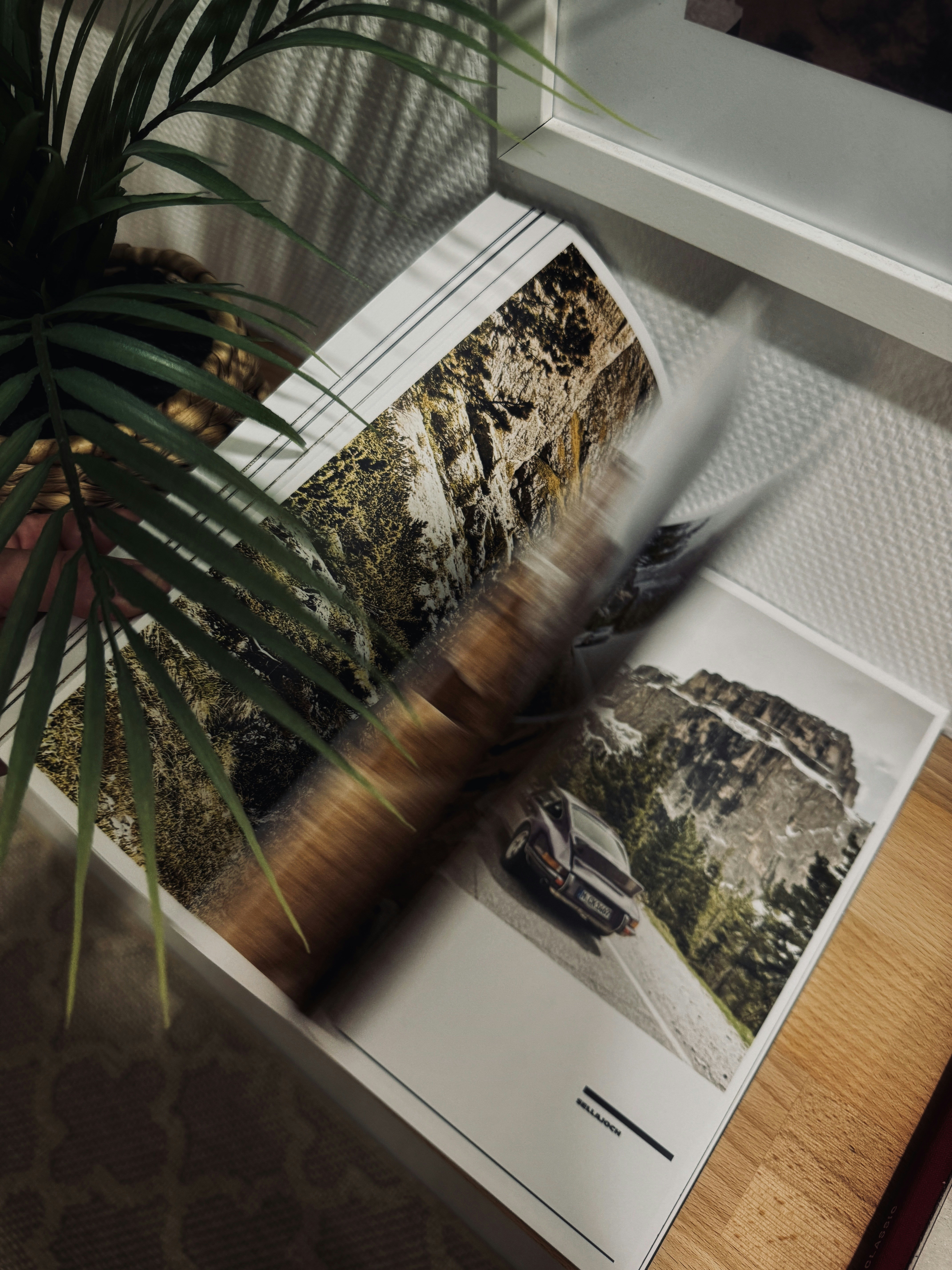 Go to Ron Müller's profile