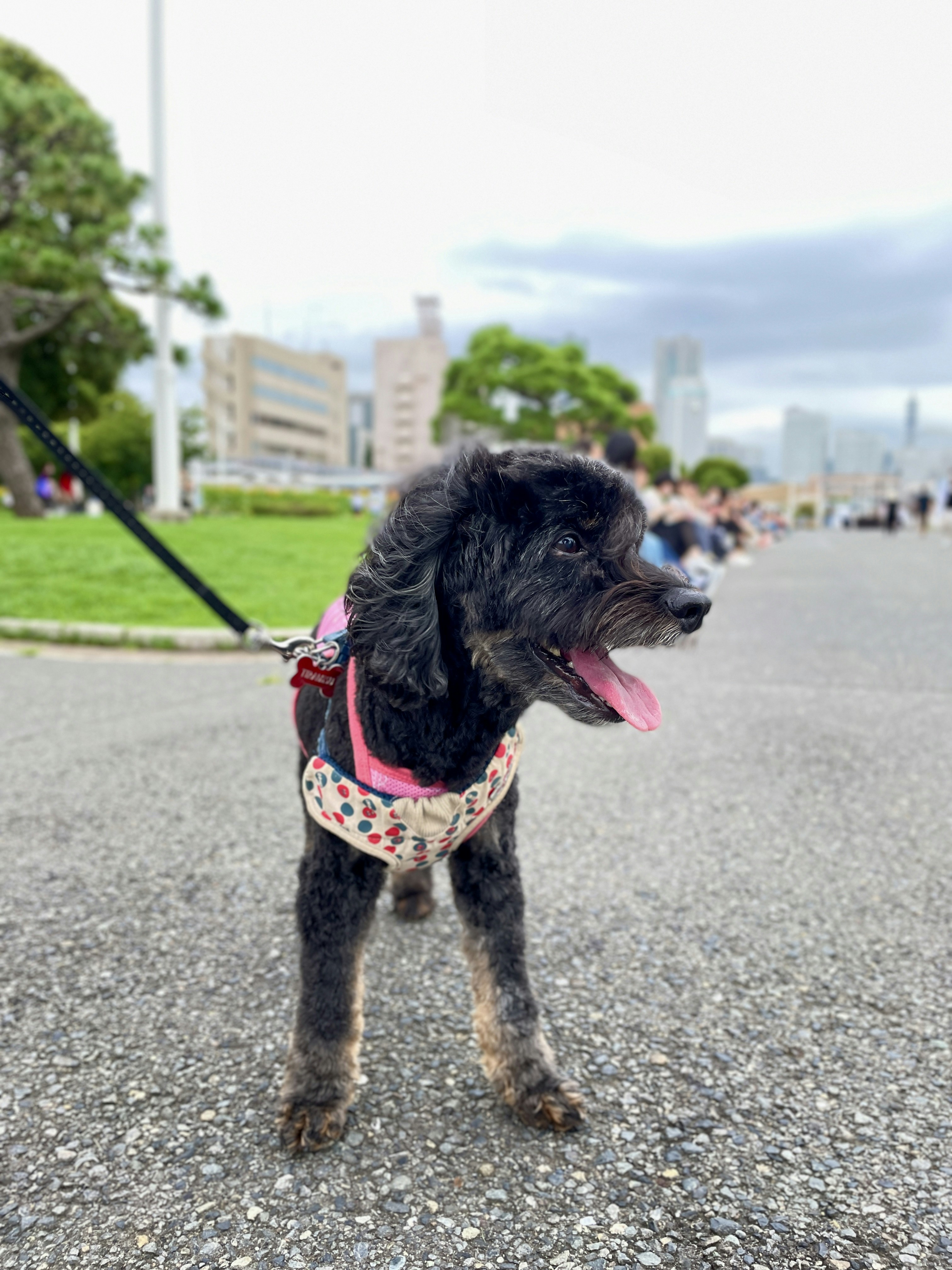 Go to Hitoshi IWAZAKI's profile