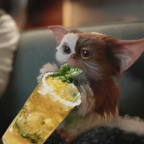 Go to Luis's profile