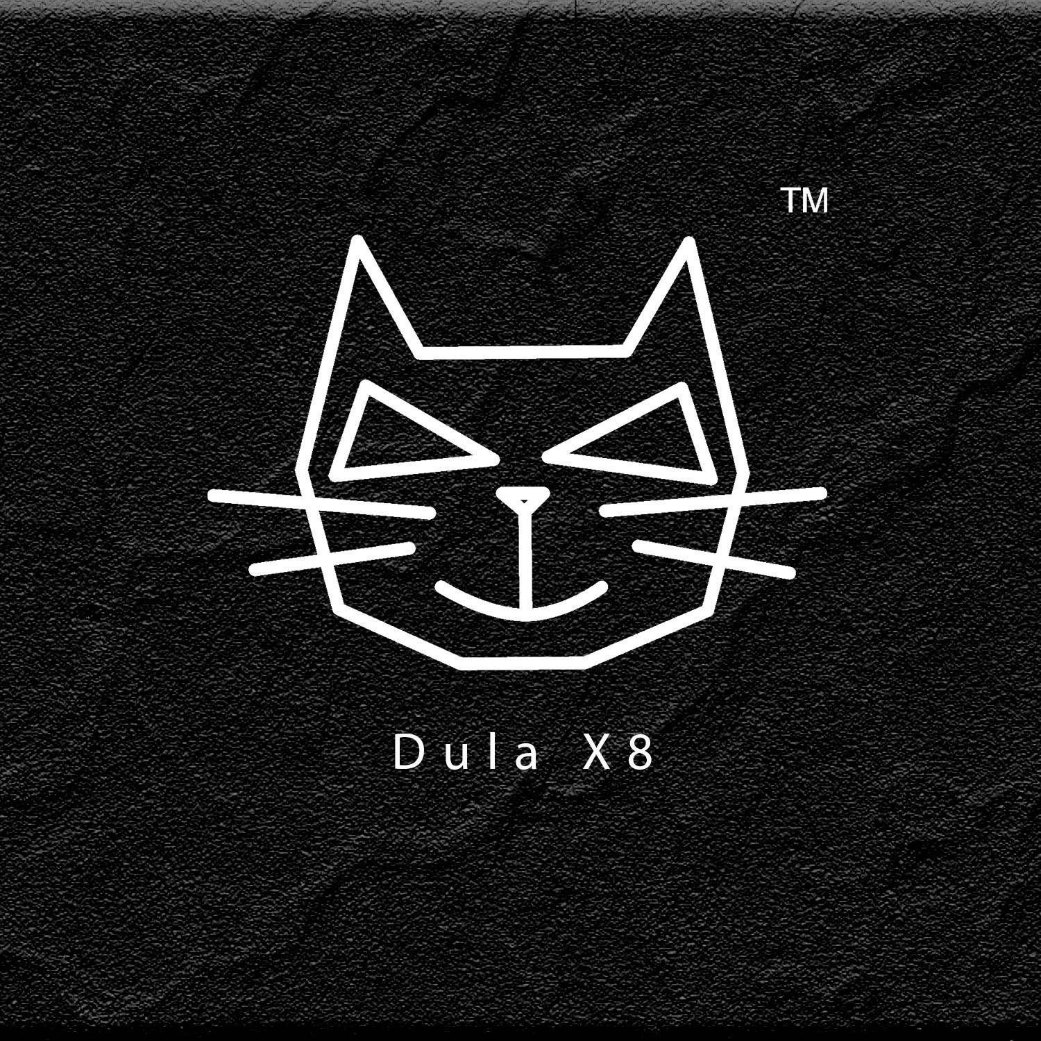 Go to Dulmeth Bandara's profile