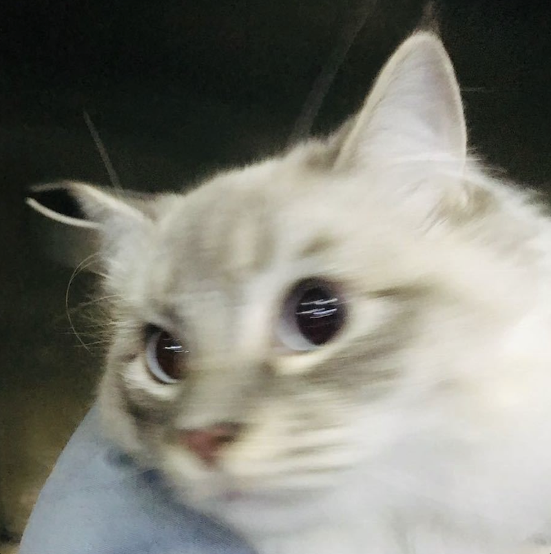 Go to Bin White's profile