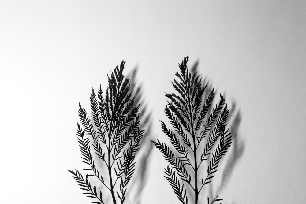 Go to Julissa's profile