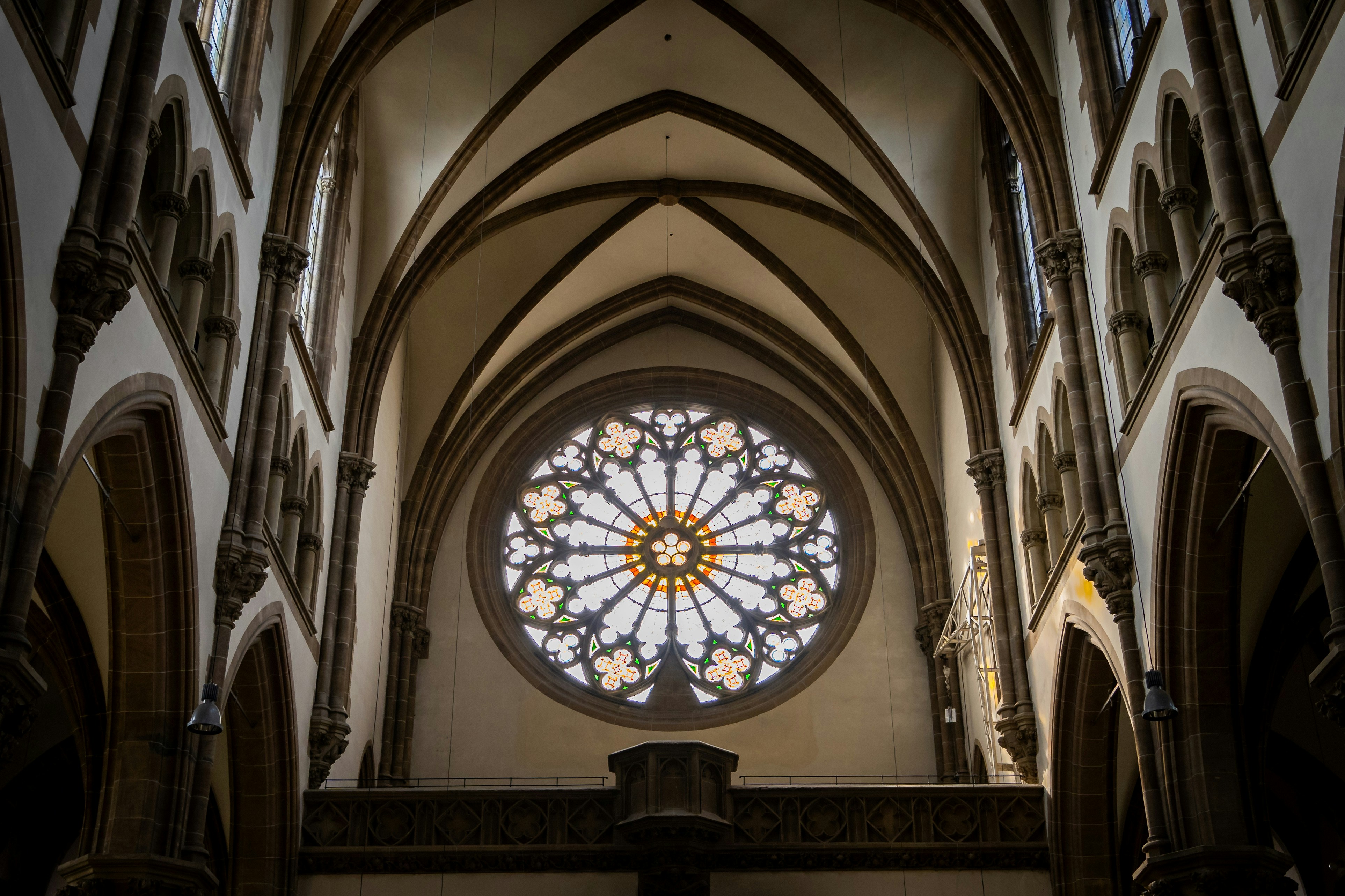 Go to Evin Biju's profile