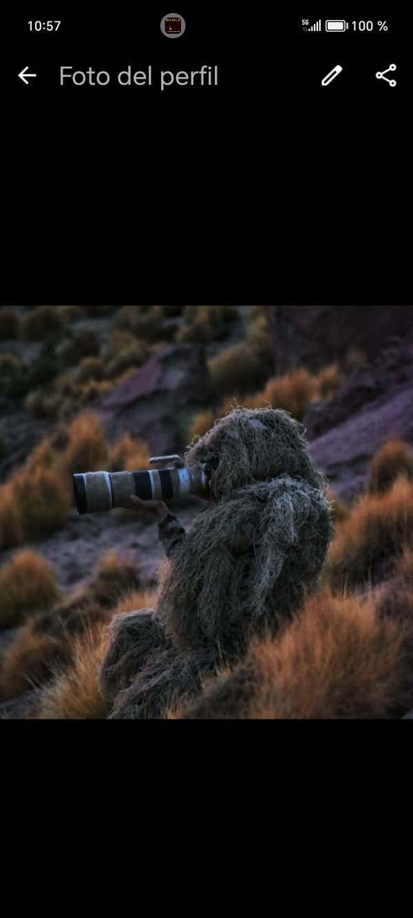 Accéder au profil de Mirko Rebolledo