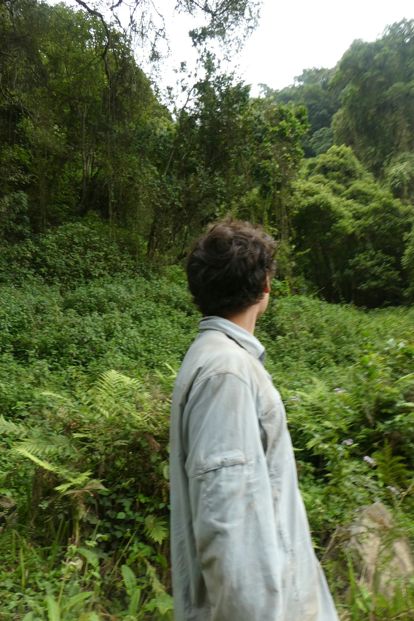 Ir para o perfil de Otis w