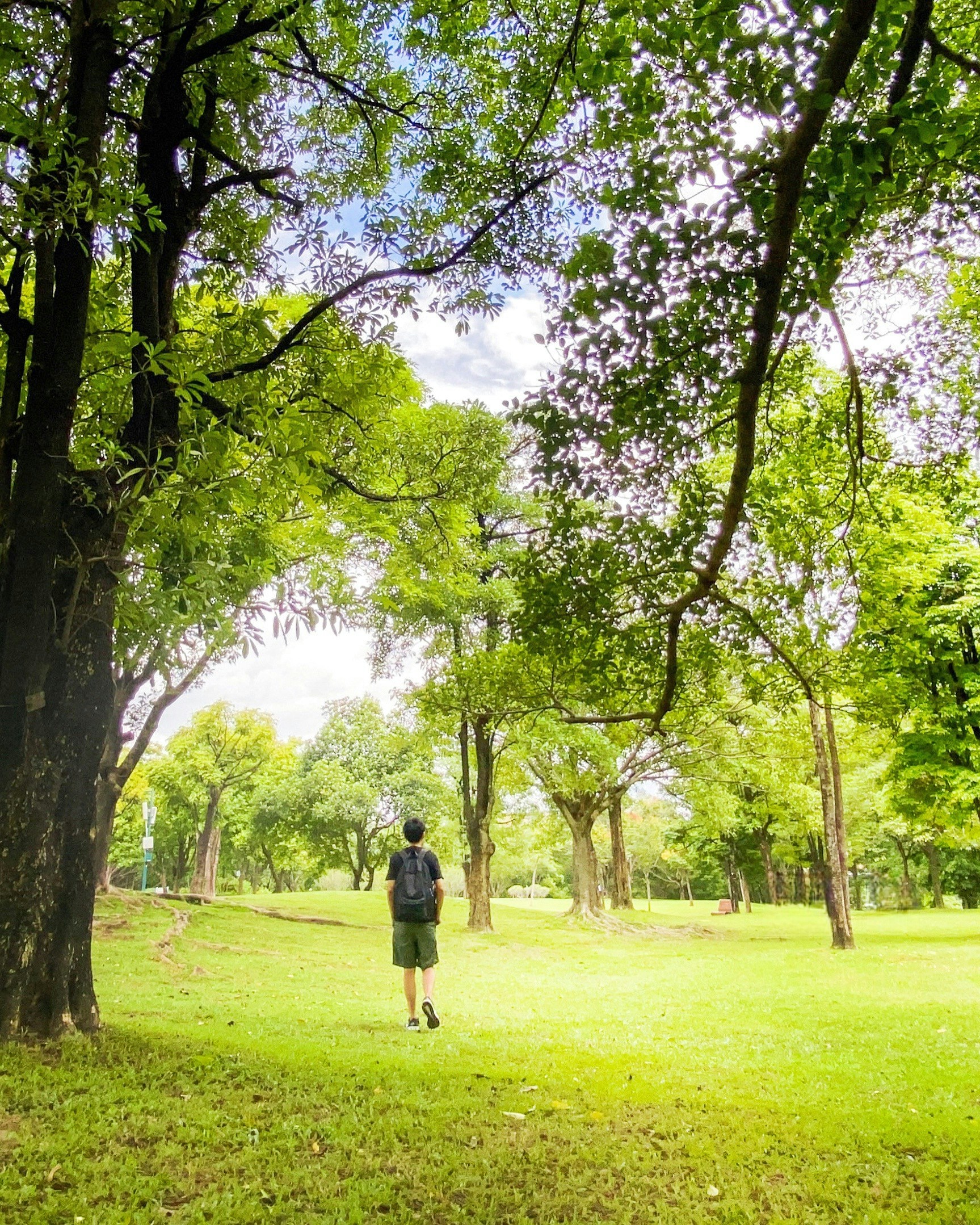 YYsmile Leeのプロフィールを見る