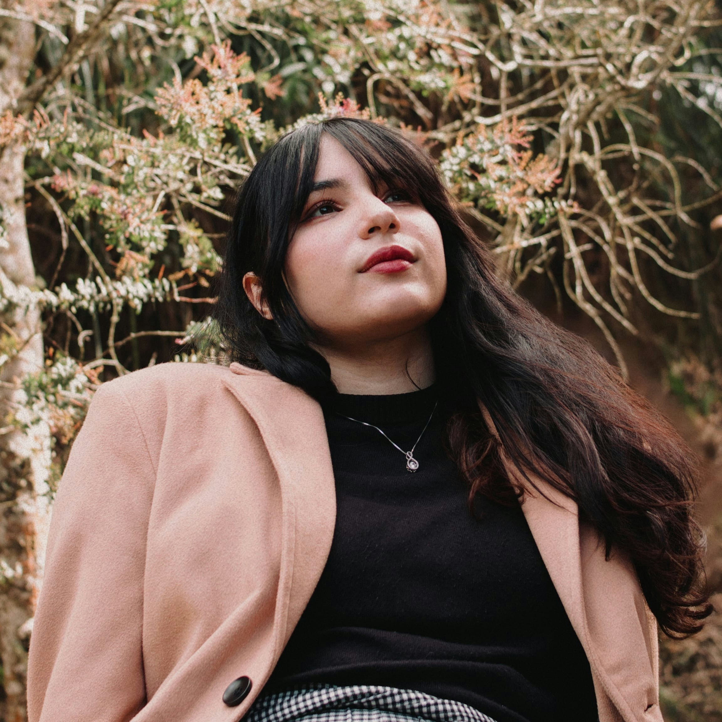 Go to Zulmaury Saavedra's profile