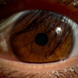 Go to Hamza Gharnati's profile